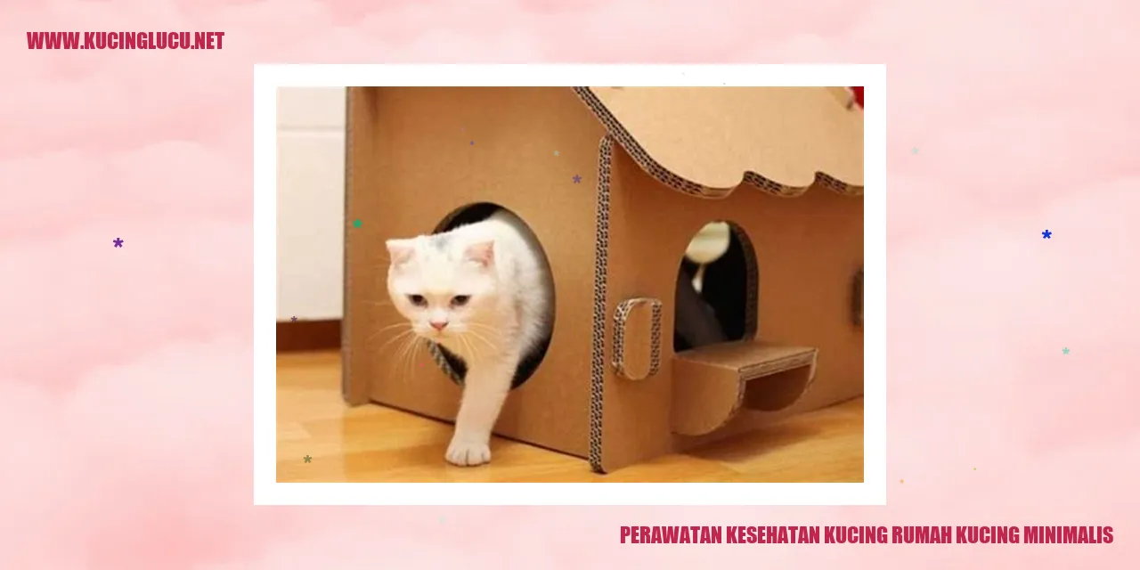 Perawatan Kesehatan Kucing rumah kucing minimalis