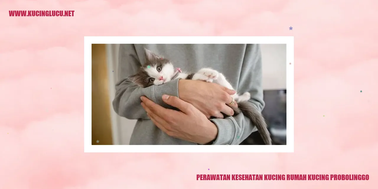 Perawatan Kesehatan Kucing