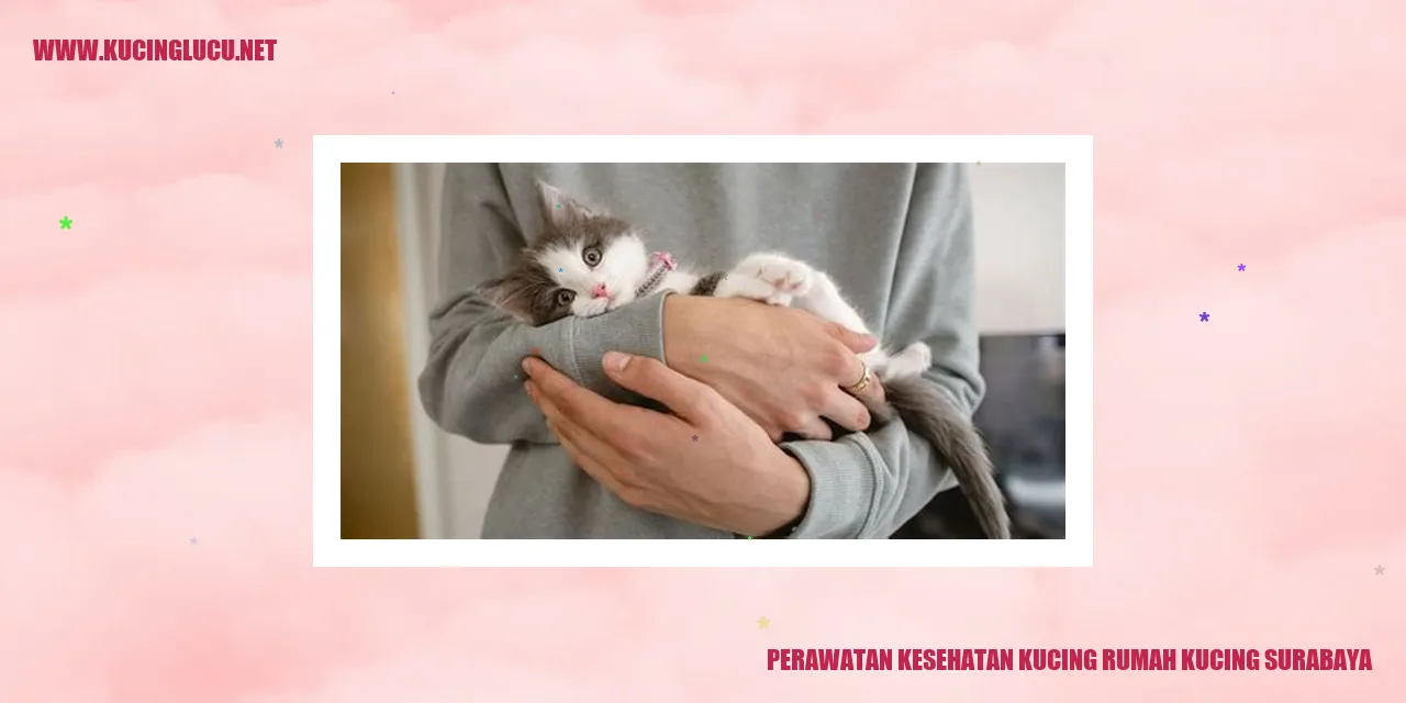 Perawatan Kesehatan Kucing