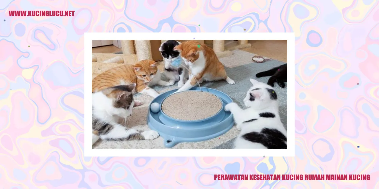 gambar kucing rumah mainan