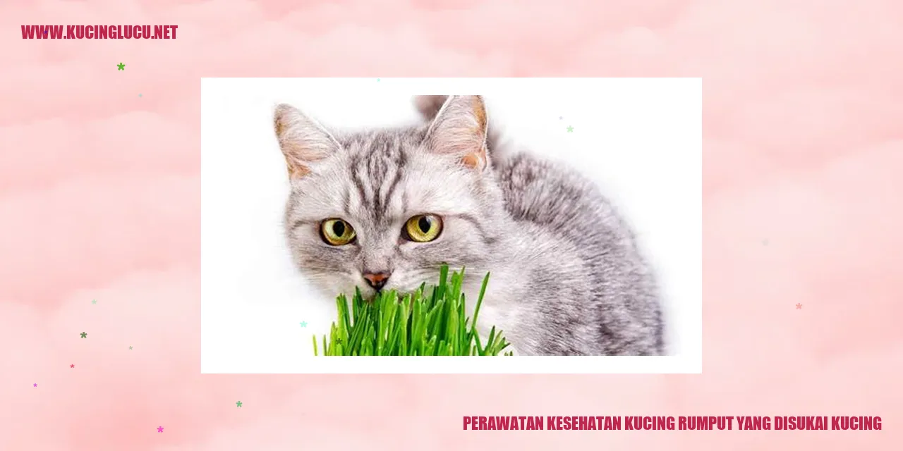 Kucing memakan rumput