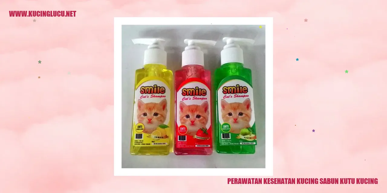 Kucing dengan Sabun Kutu Kucing