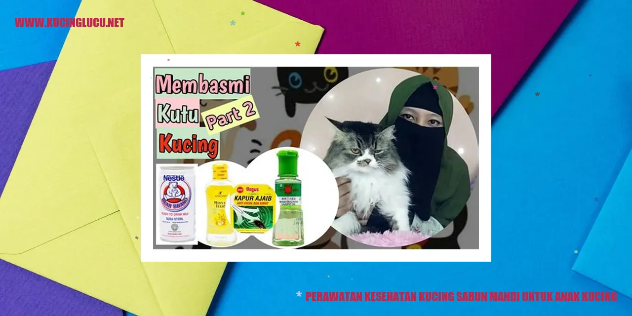 Perawatan Kesehatan Kucing