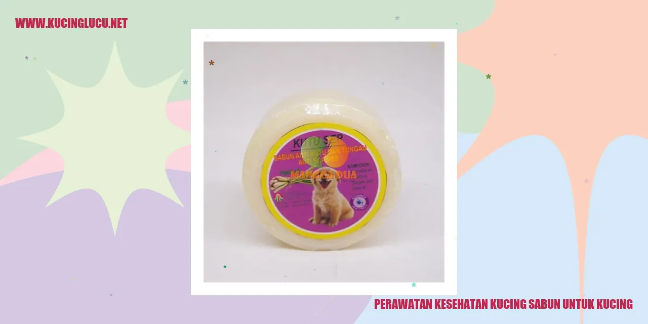 Perawatan Kesehatan Kucing