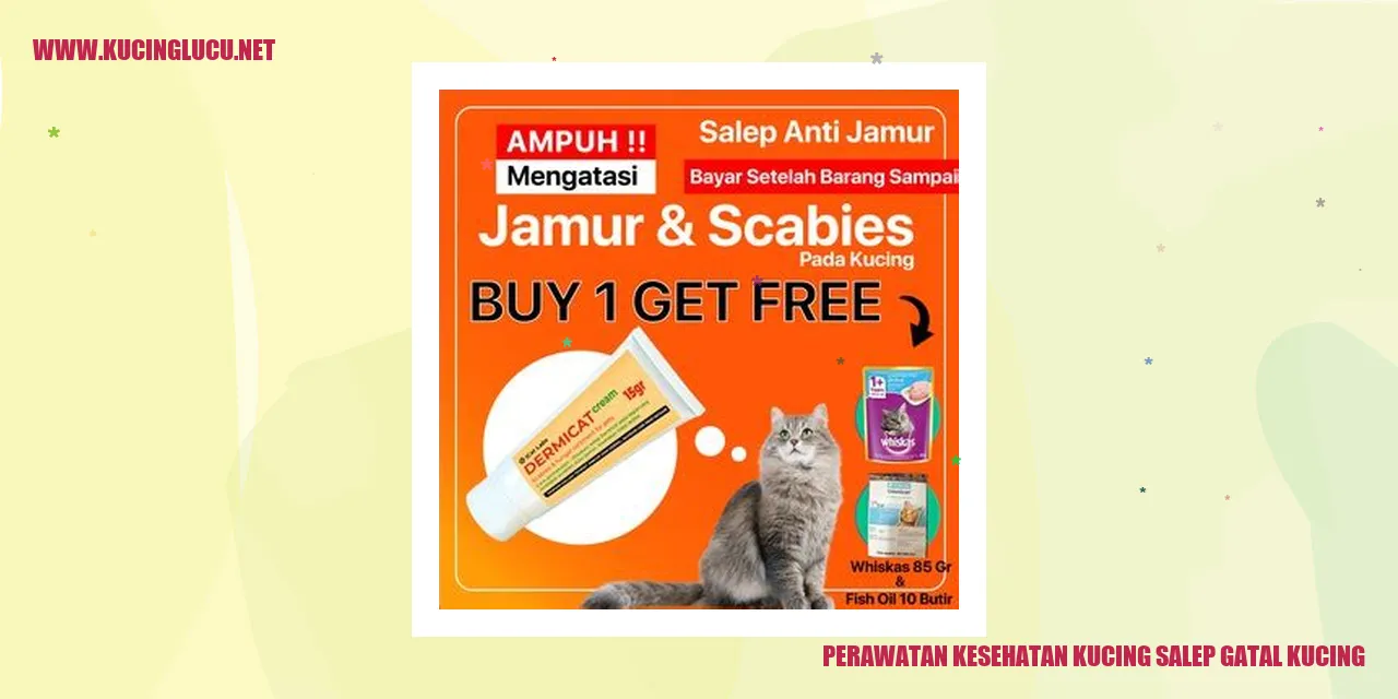 Perawatan Kesehatan Kucing : Salep Gatal Kucing