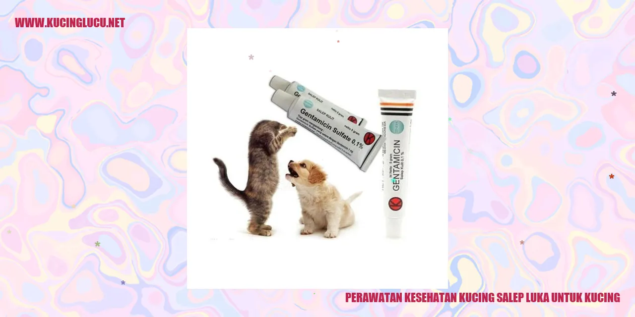 Perawatan Kesehatan Kucing salep luka untuk kucing