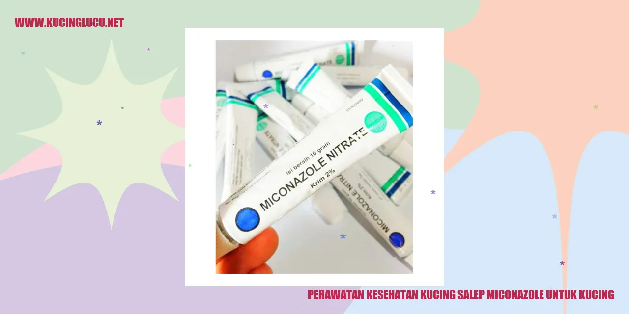 Perawatan Kesehatan Kucing salep miconazole untuk kucing