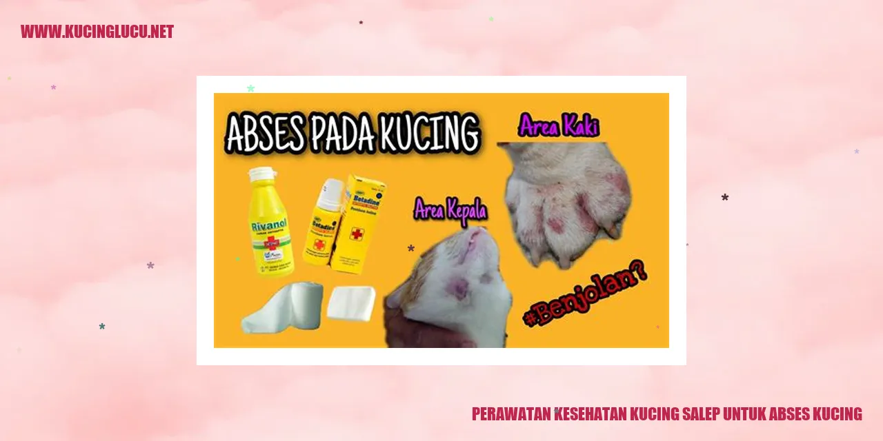 gambar abses kucing