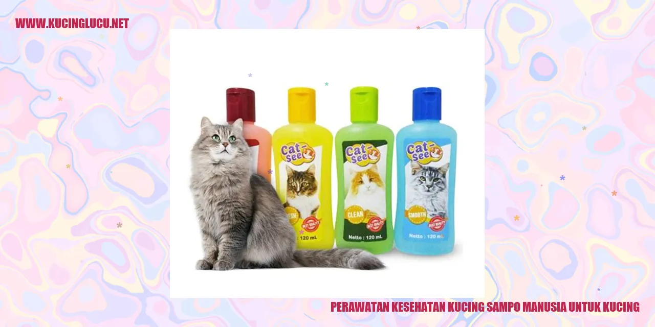 Perawatan Kesehatan Kucing menggunakan sampo manusia