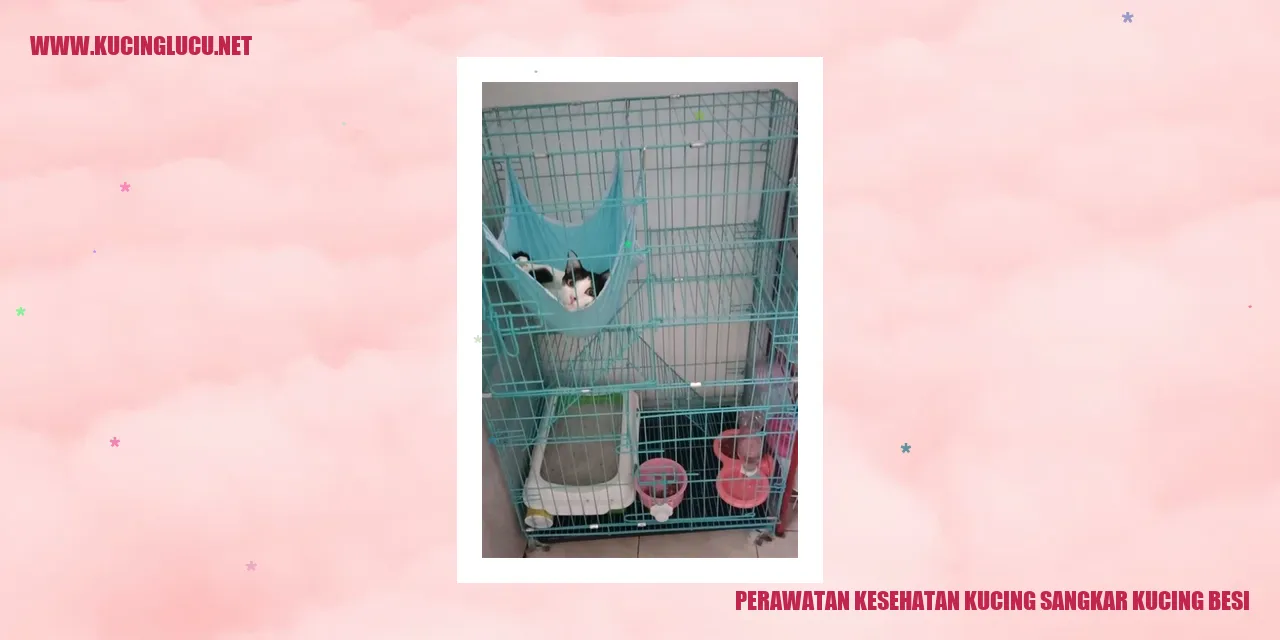Perawatan Kesehatan Kucing sangkar kucing besi