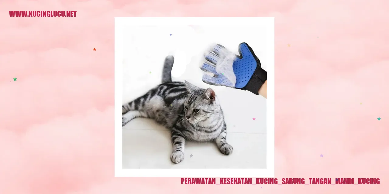 Kucing dengan sarung tangan mandi kucing