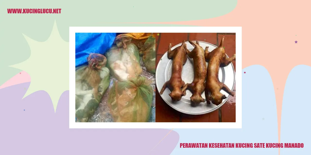 Perawatan Kesehatan Kucing sate kucing manado