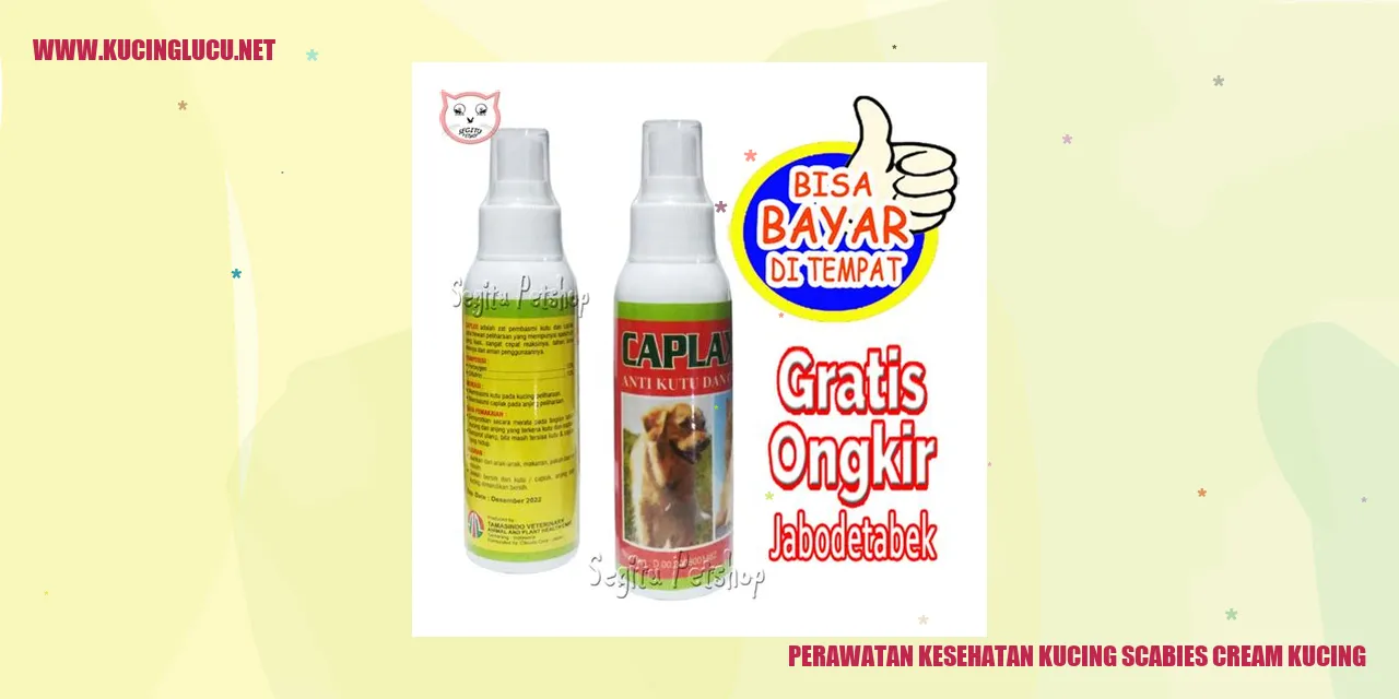 gambar kucing