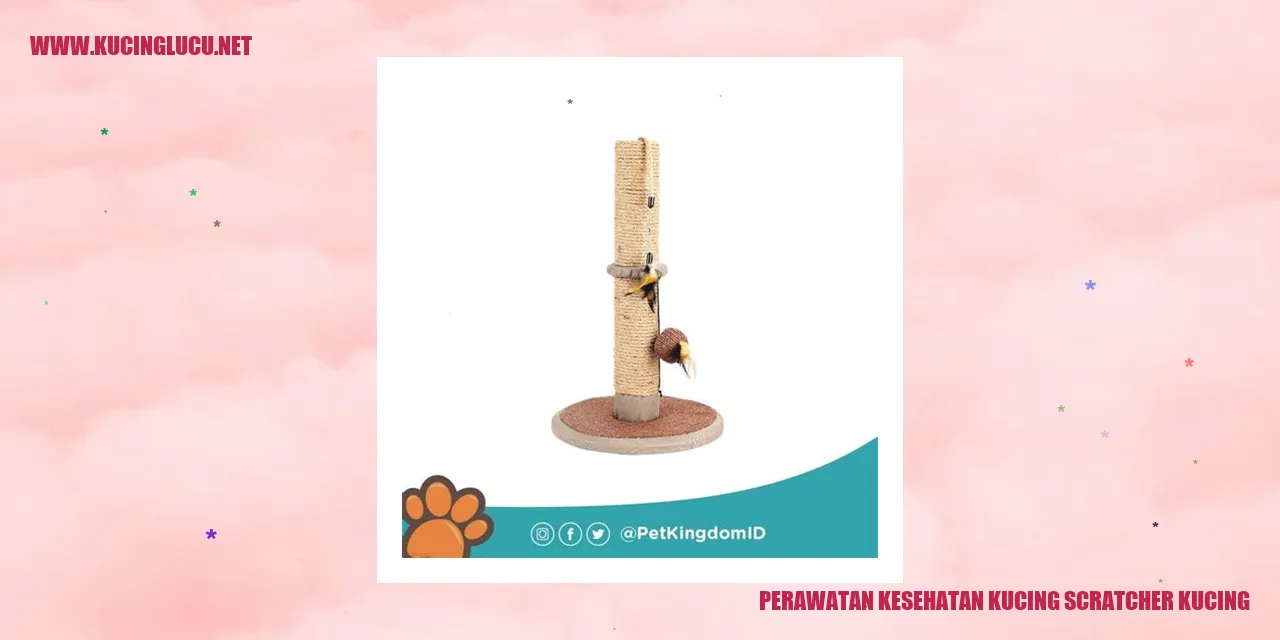 Gambar Kucing Dengan Scratchers