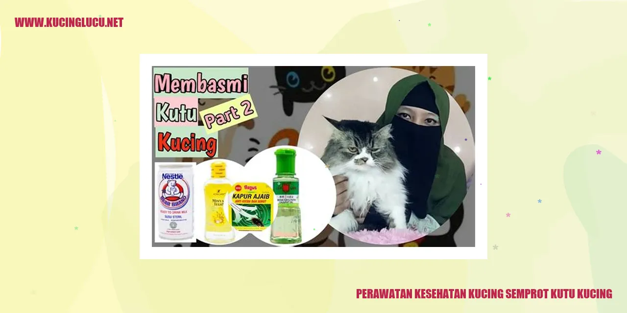 Kucing semprot kutu kucing