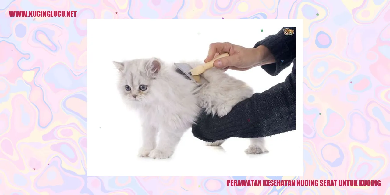 Perawatan Kesehatan Kucing serat untuk kucing