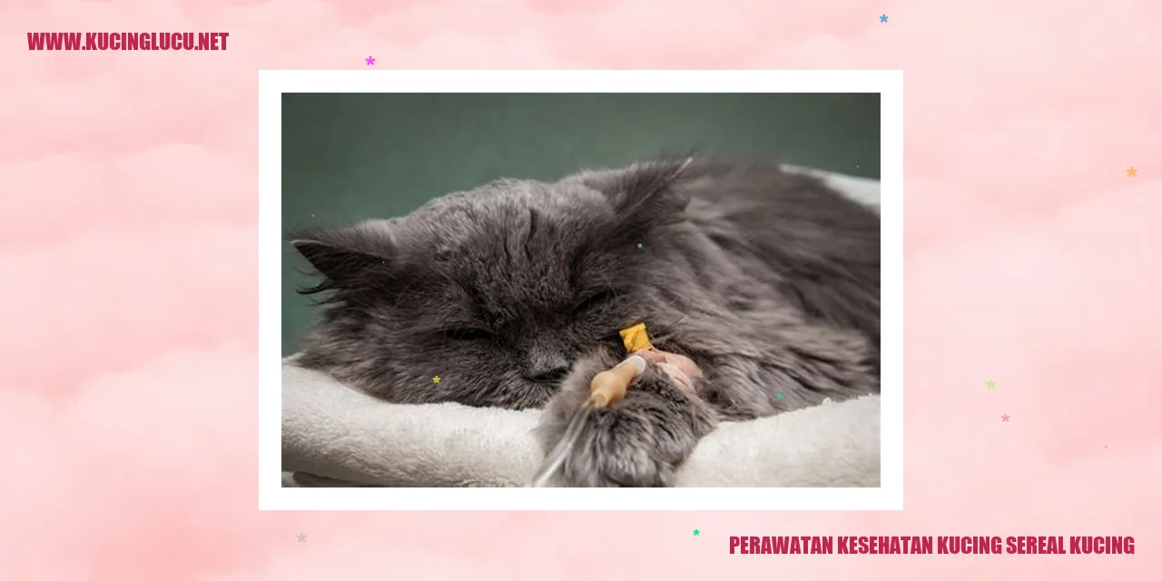 Perawatan Kesehatan Kucing sereal kucing