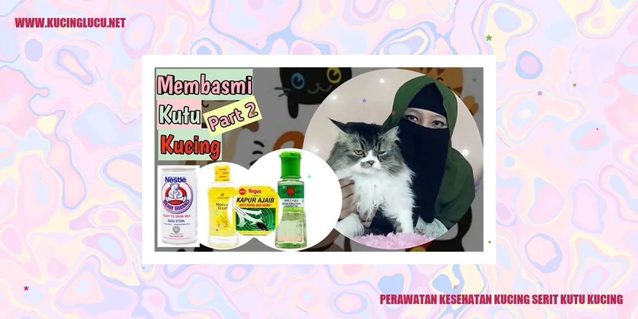 Perawatan Kesehatan Kucing serit kutu kucing