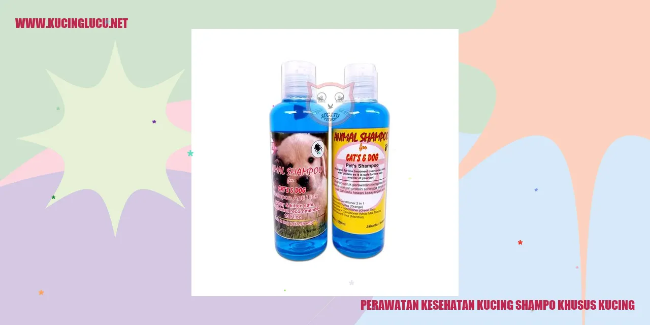 Gambar seekor kucing yang sedang mandi