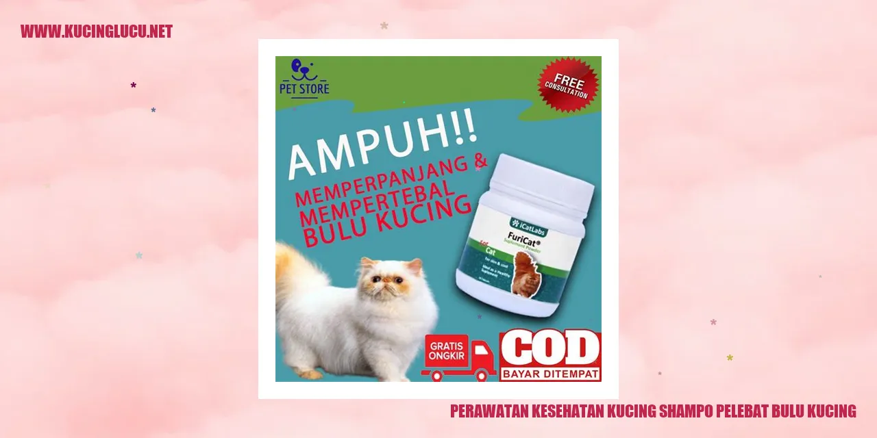 Gambar Kucing
