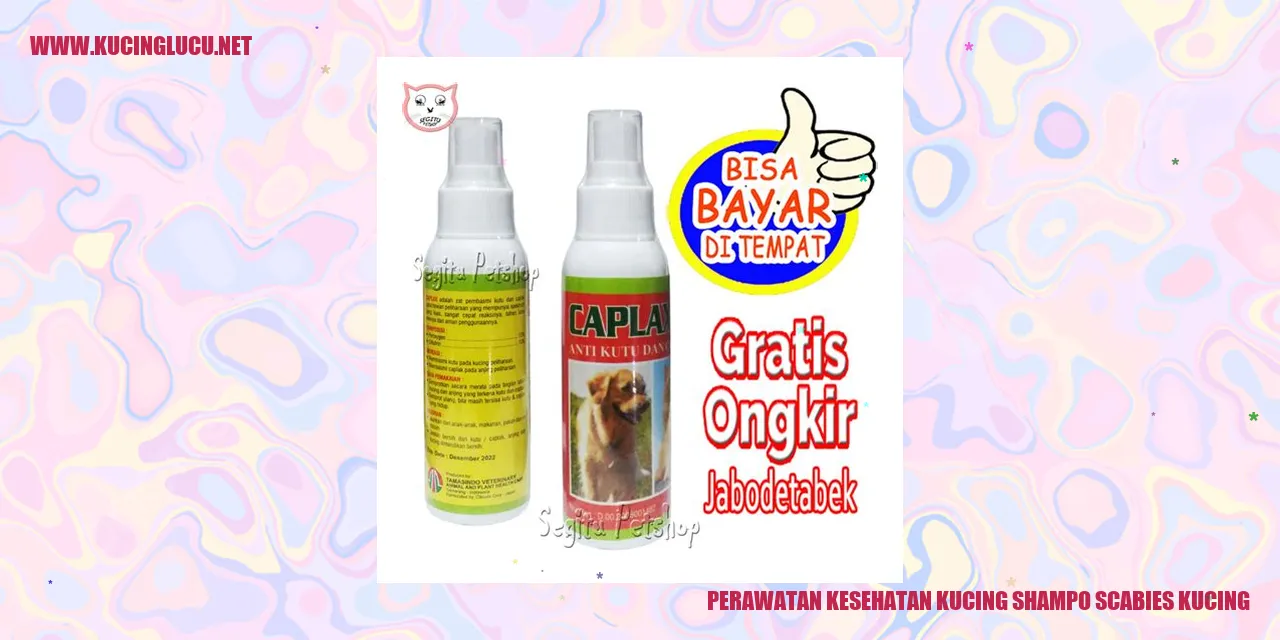Perawatan Kesehatan Kucing dengan Shampo untuk Scabies Kucing