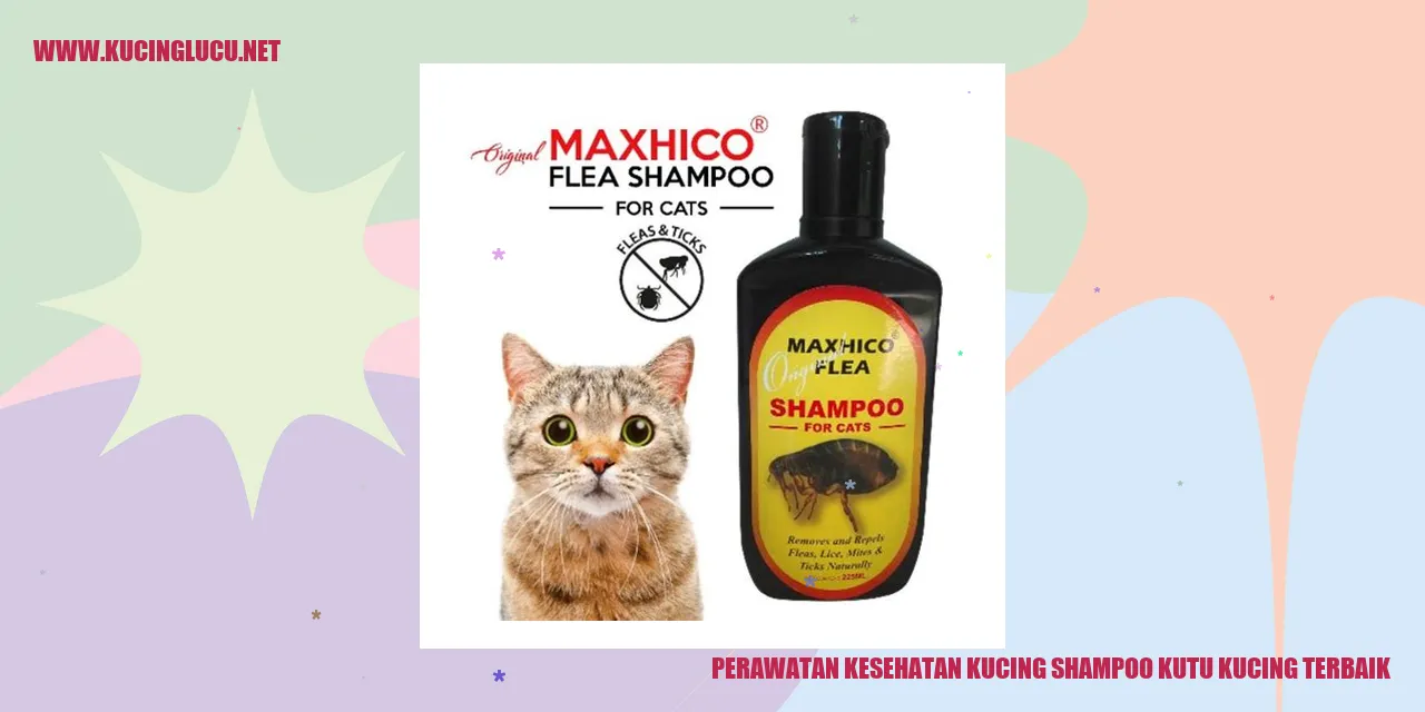 Gambar perawatan kesehatan kucing