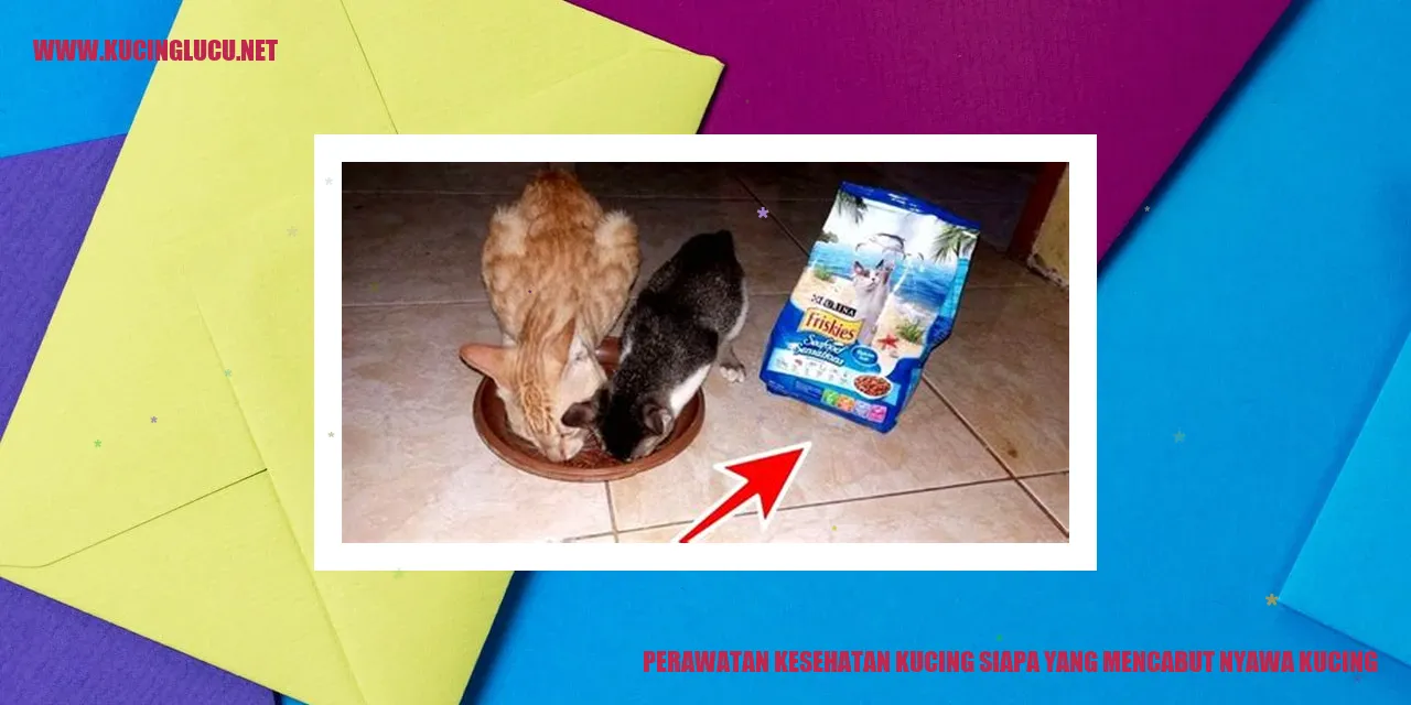 Gambar Perawatan Kesehatan Kucing