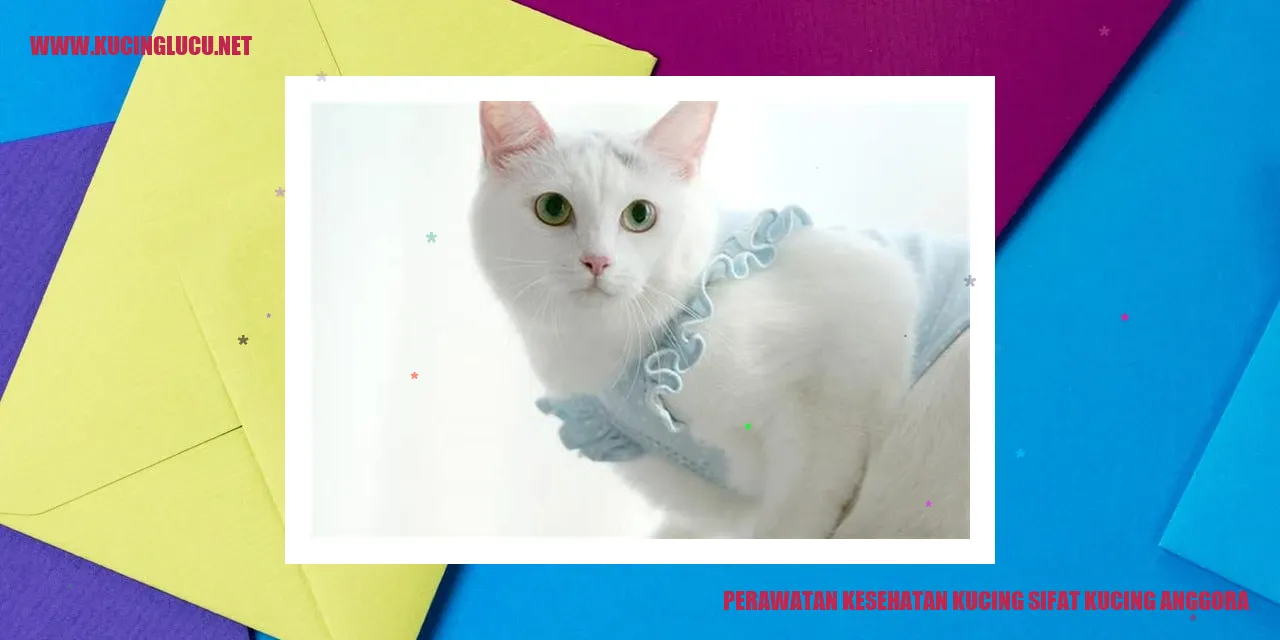 Perawatan Kesehatan Kucing Anggora