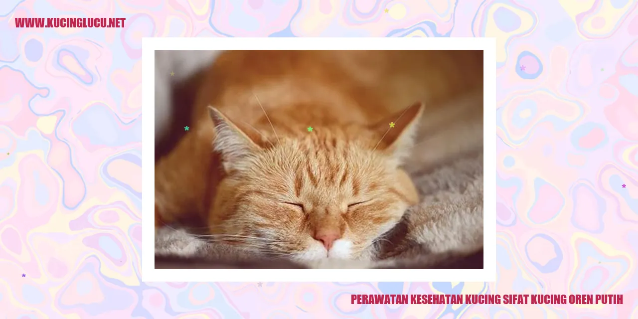 Foto Kucing Oren Putih