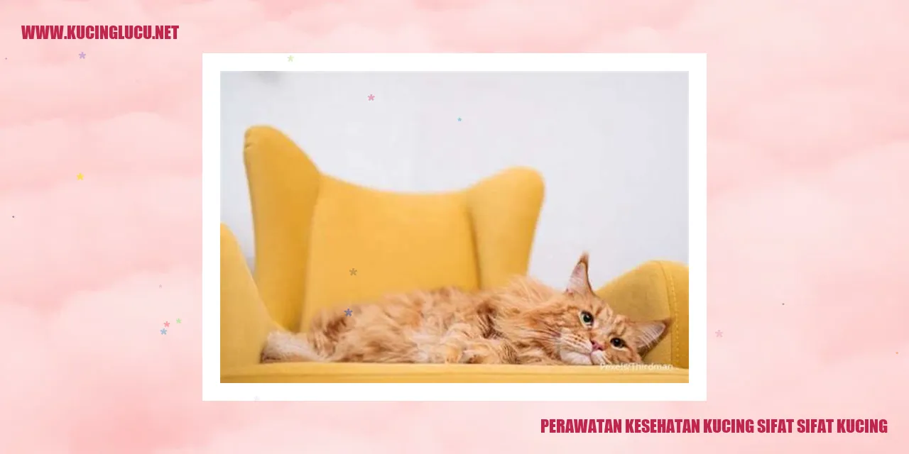 Perawatan Kesehatan Kucing sifat sifat kucing
