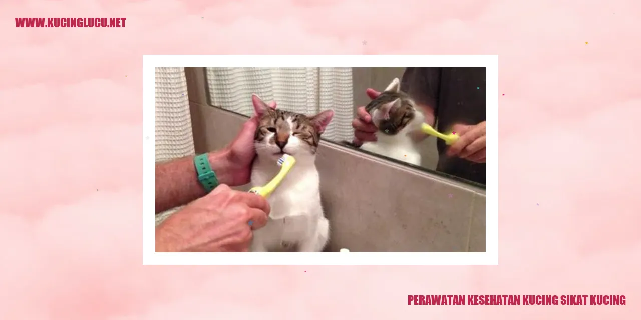 Sikat Kucing