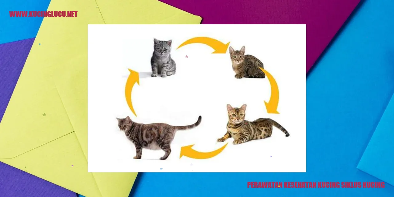 Perawatan Kesehatan Kucing siklus kucing