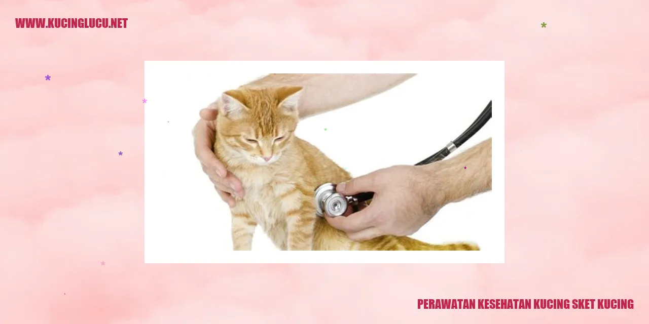 Kucing Sehat