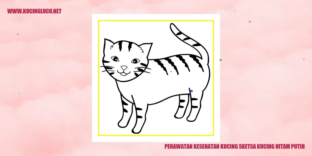 Kucing Hitam Putih