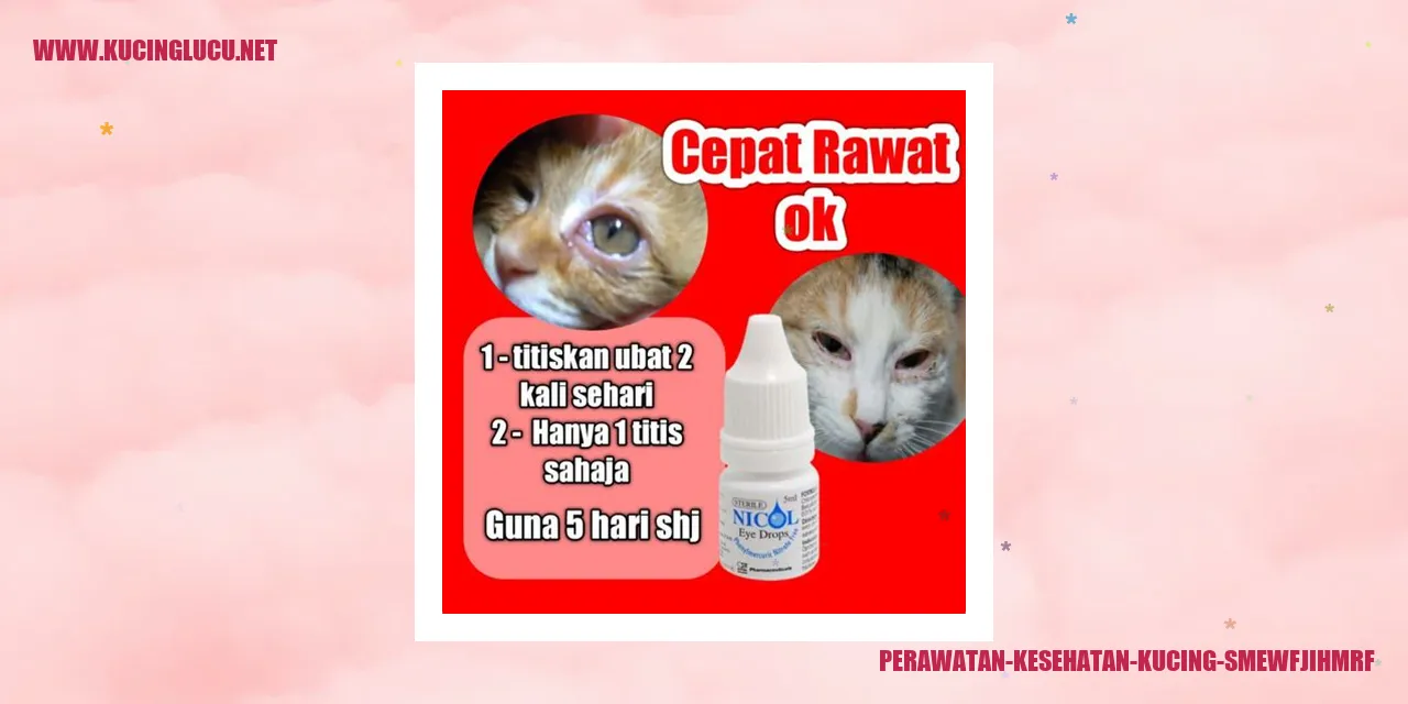 Kucing Menyantap Rumput