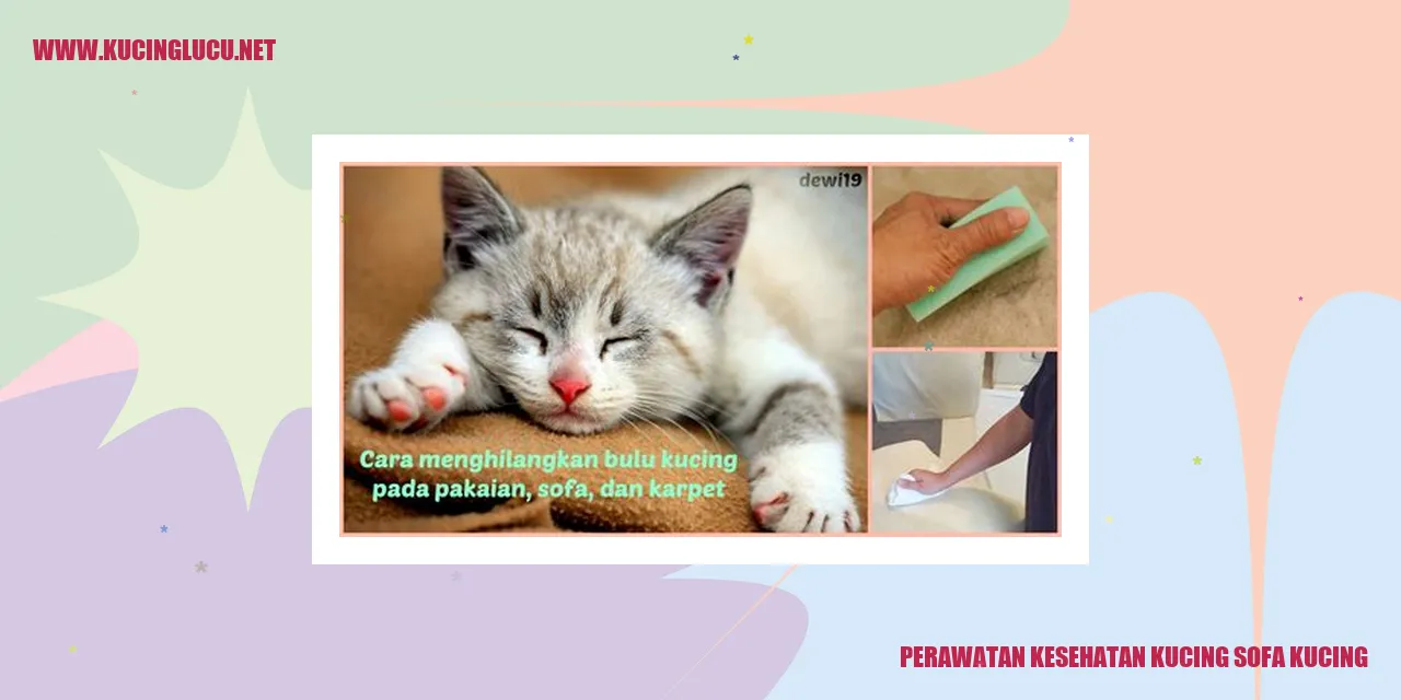 Gambar Kucing Santai di Sofa