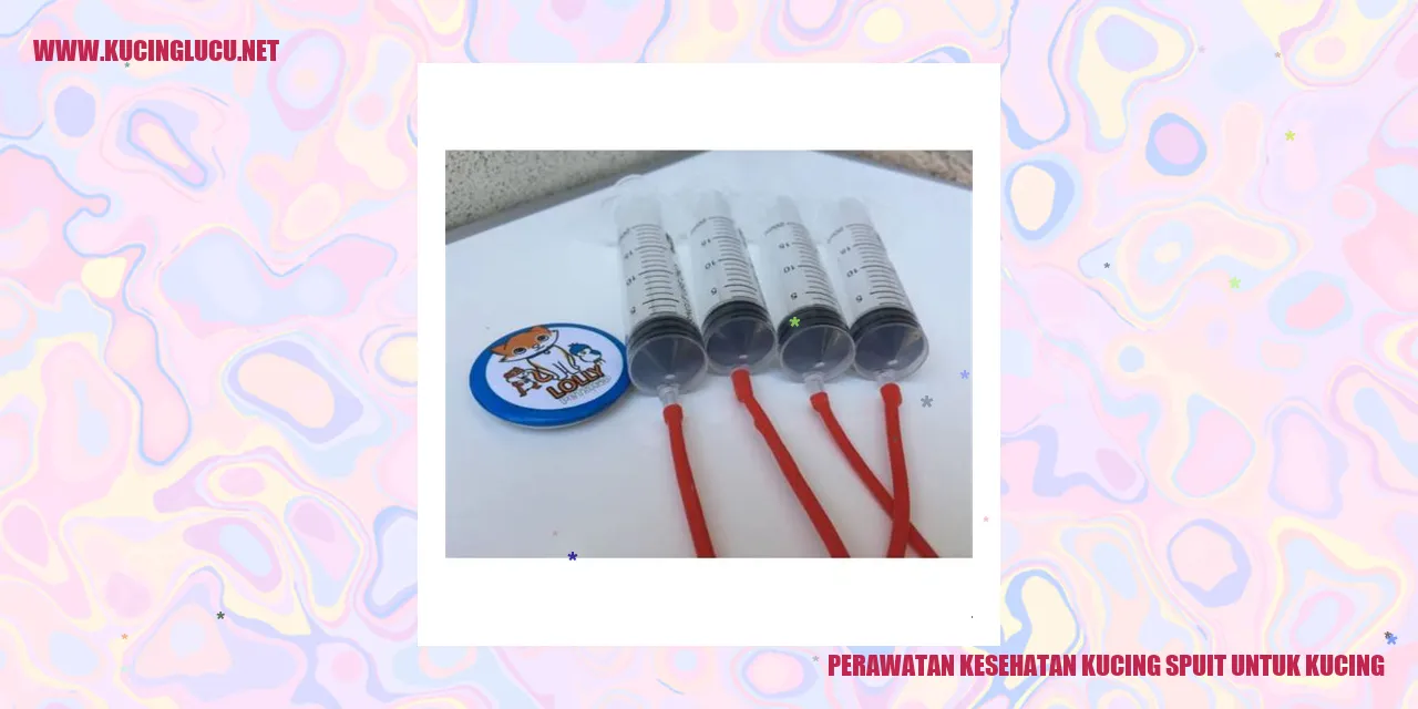 Perawatan Kesehatan Kucing Spuit untuk Kucing