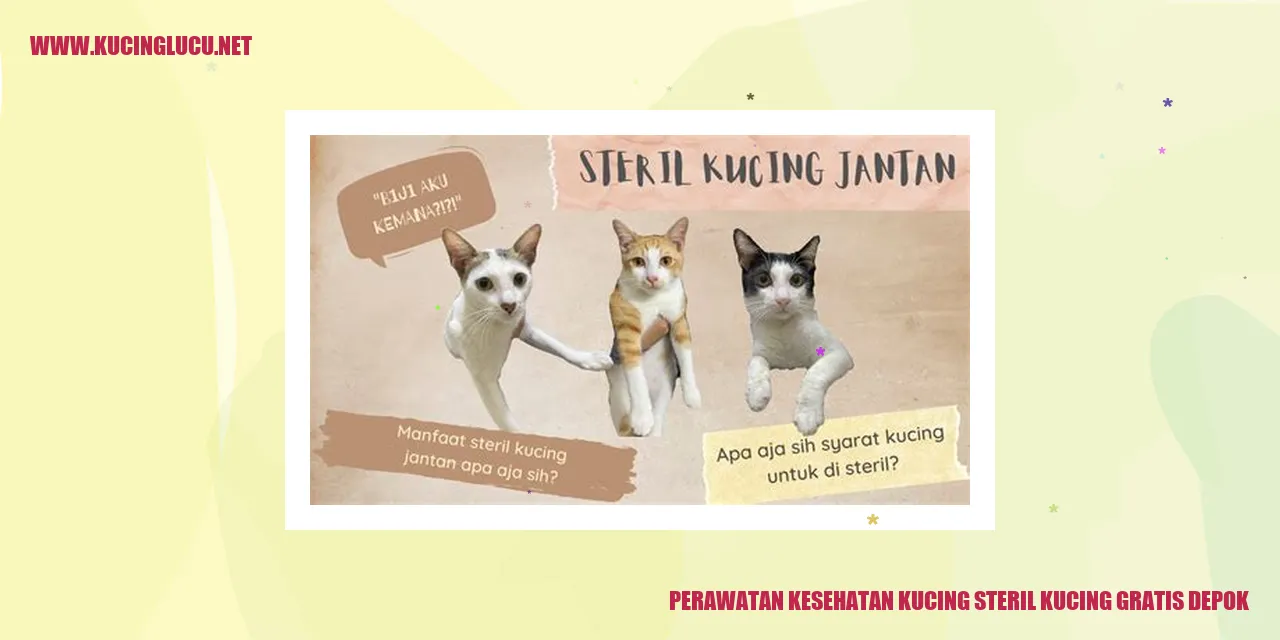 Perawatan Kesehatan Kucing steril kucing gratis depok