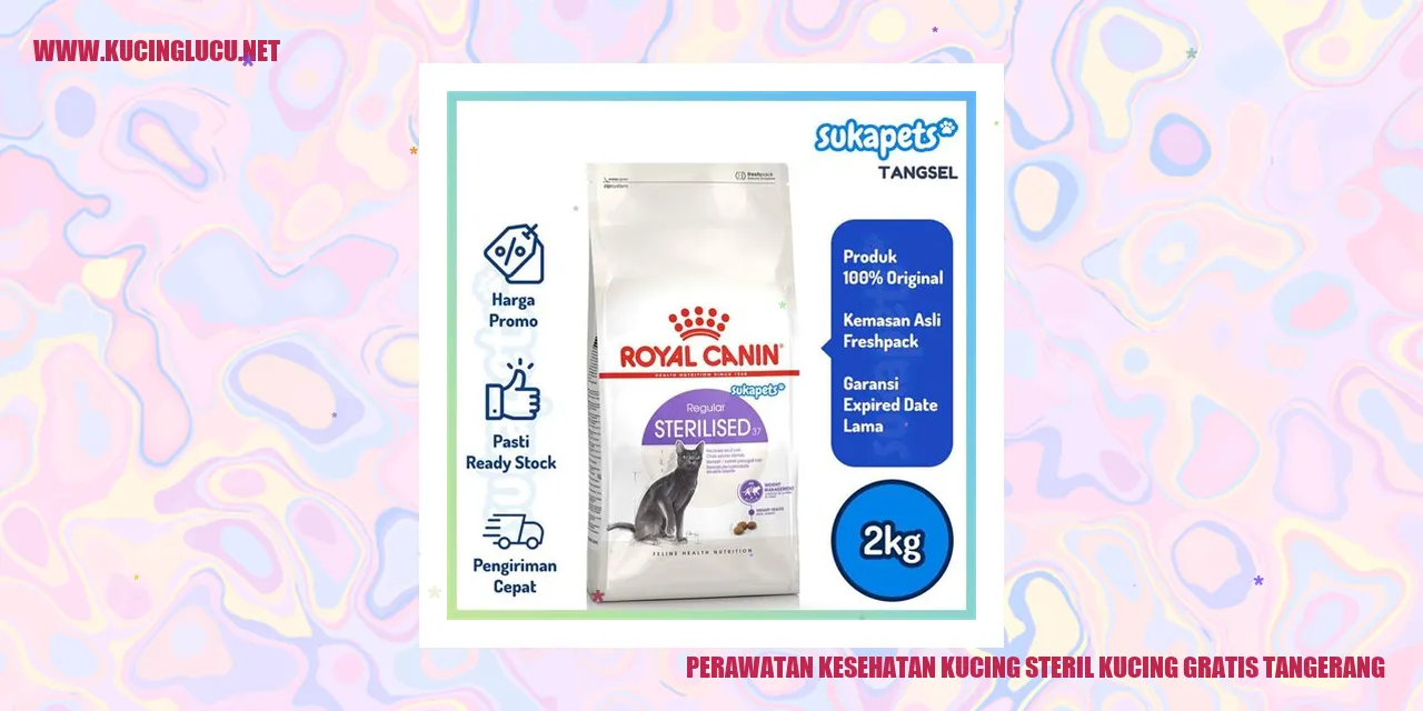 Foto Perawatan Kesehatan Kucing