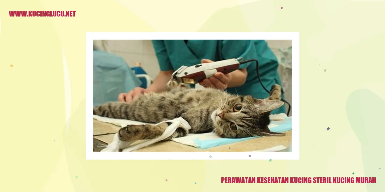 Kucing sehat
