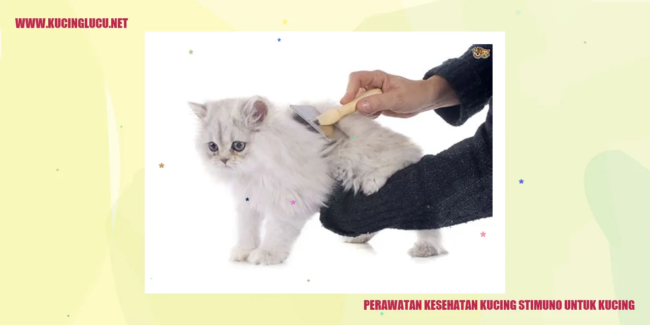 Kucing Sehat