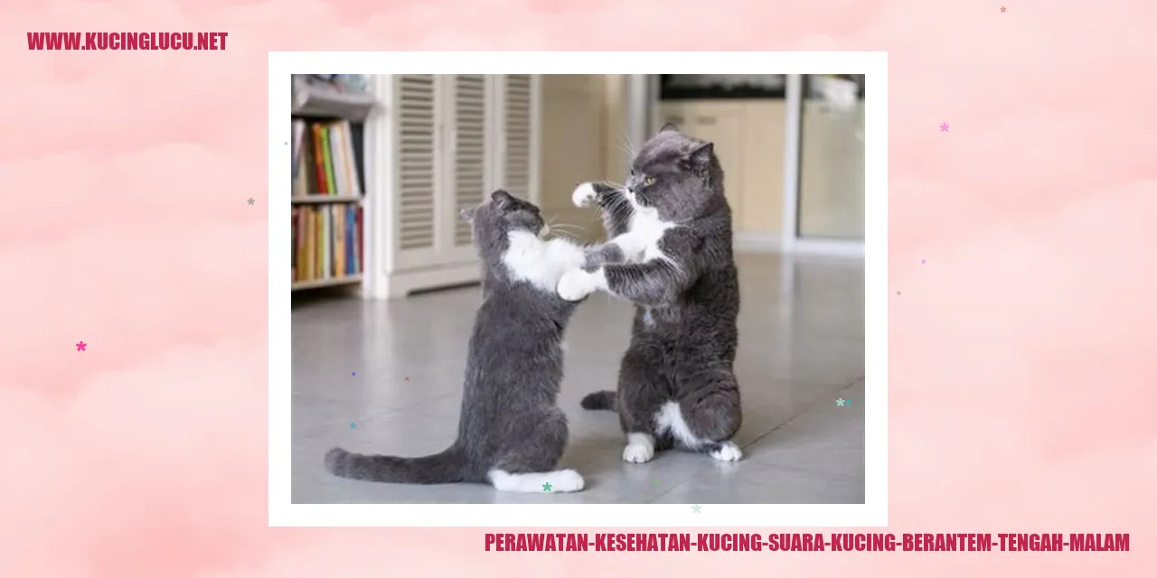 Perawatan Kesehatan Kucing