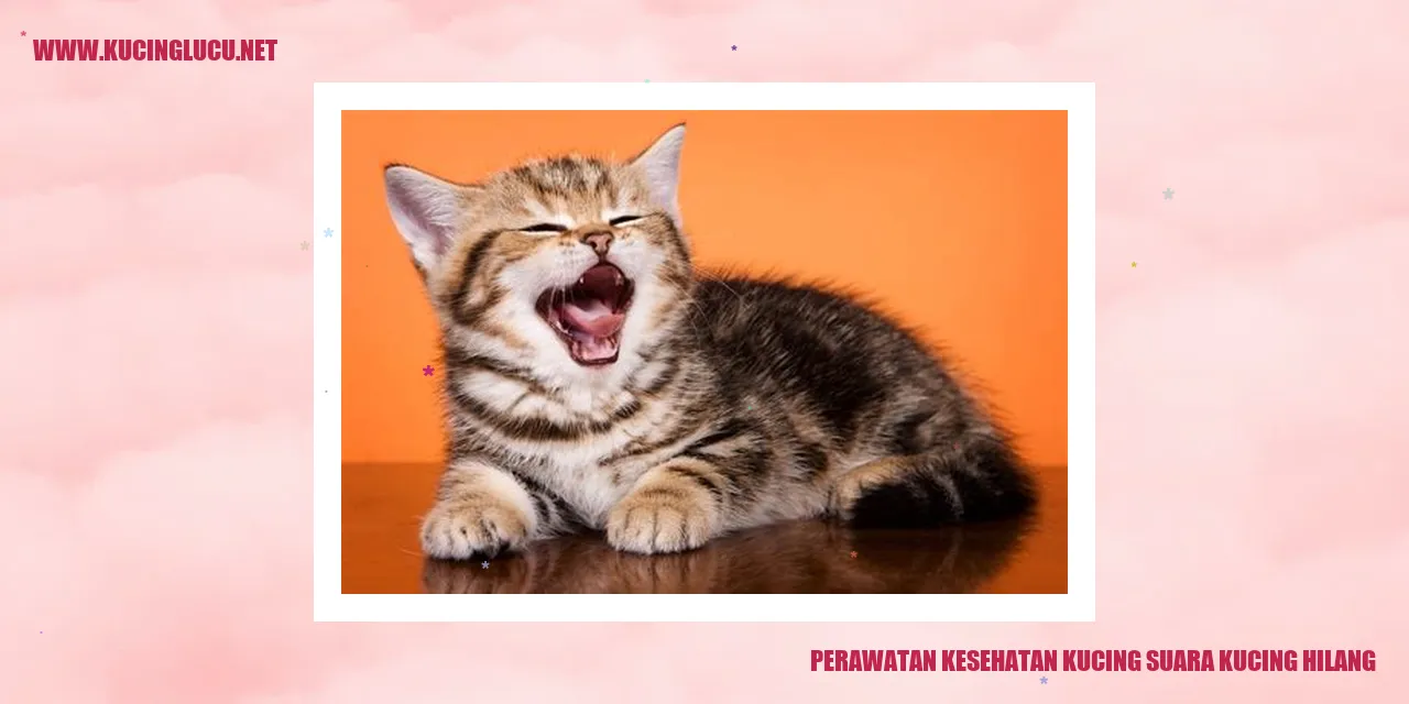 Perawatan Kesehatan Kucing