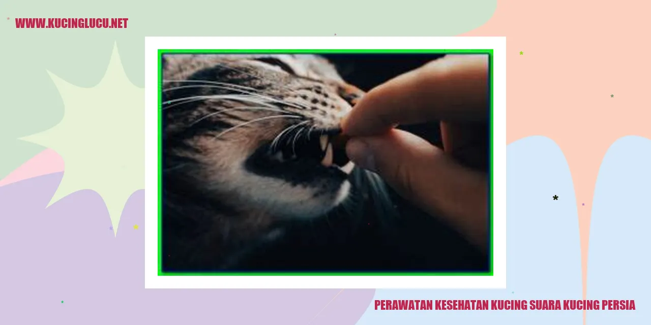 Kucing Persia yang Menggemaskan
