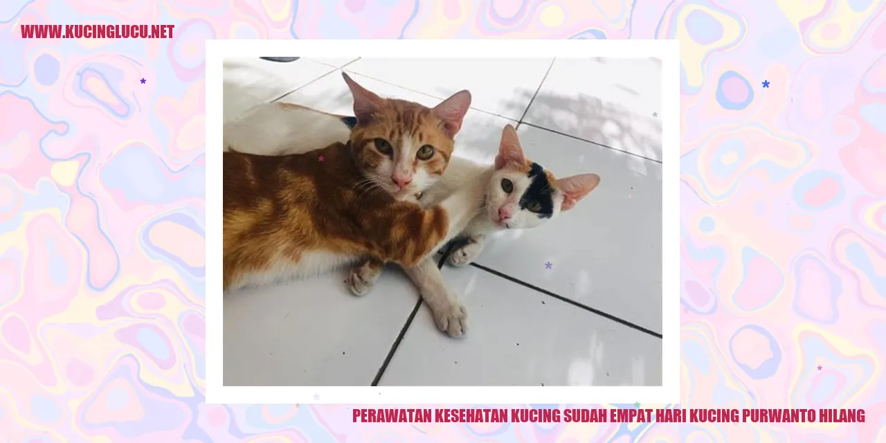 Perawatan Kesehatan Kucing sudah empat hari kucing purwanto hilang