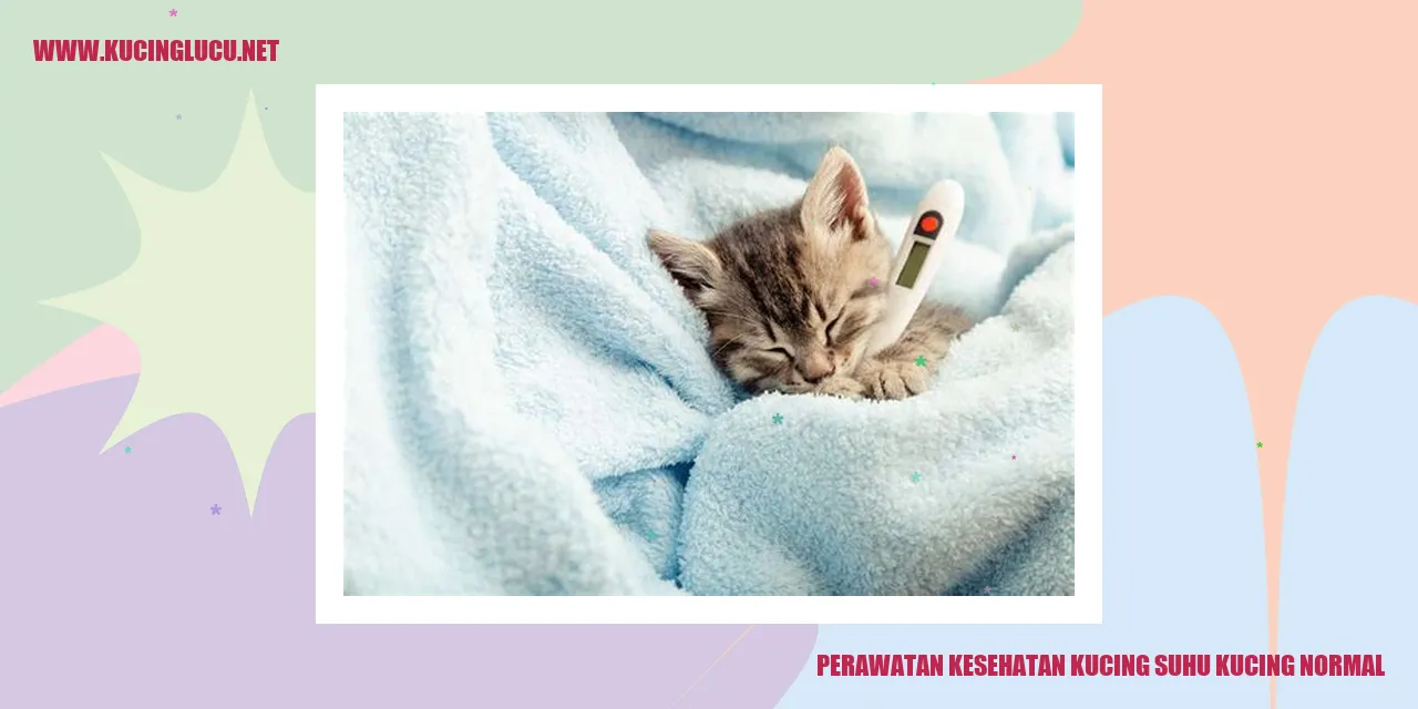 Perawatan Kesehatan Kucing