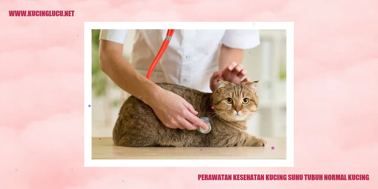 Perawatan Kesehatan Kucing
