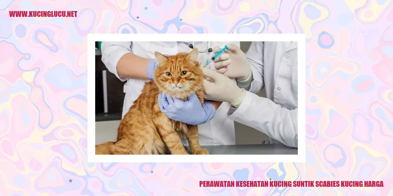 Perawatan Kesehatan Kucing suntik scabies kucing harga