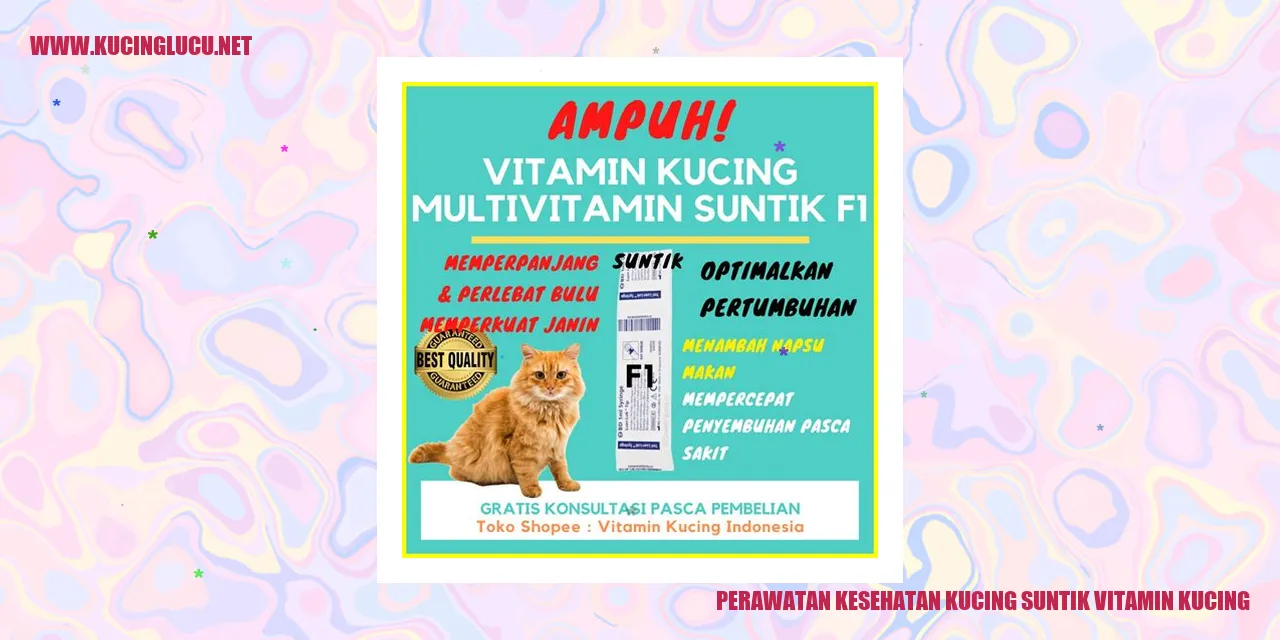 Kucing dengan suntikan vitamin