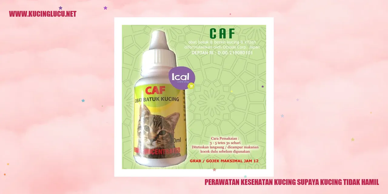Perawatan Kesehatan Kucing supaya kucing tidak hamil